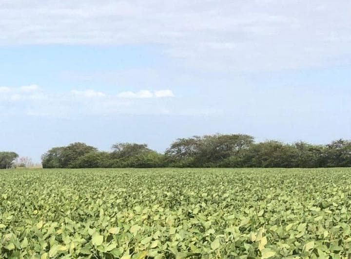 Campo de 7000 ha en venta en Bazán La Rioja Reserva de agua OPORTUNIDAD FINANCIACION