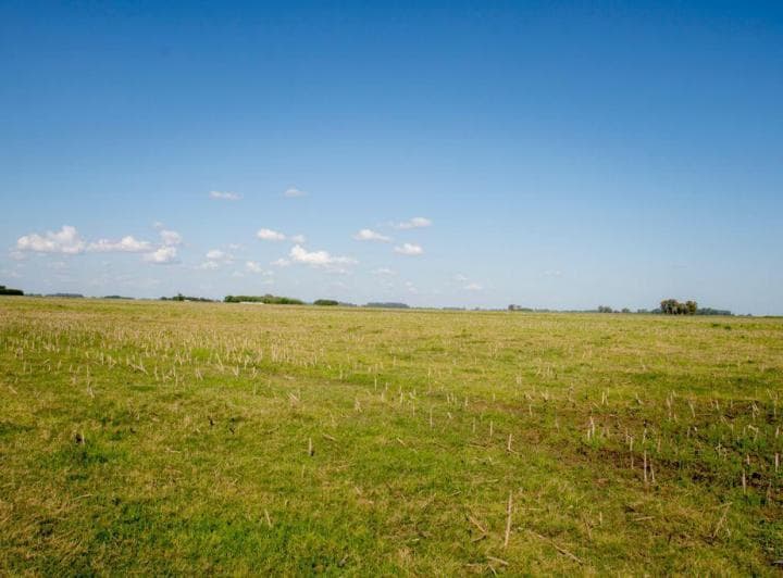 Venta Campo Agrícola en Bandera, Santiago del Estero 1150 has