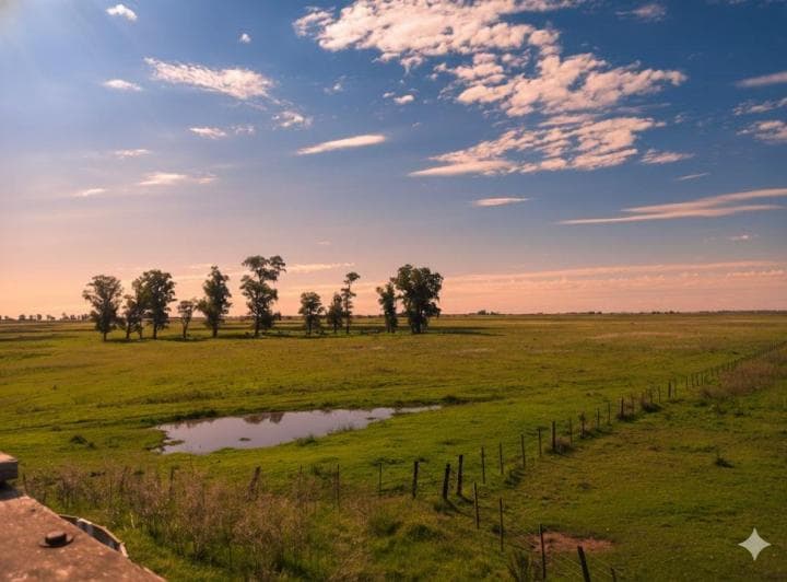 Venta Campo Dolores, Buenos Aires - 1300 has- Campo de Cria / Recría