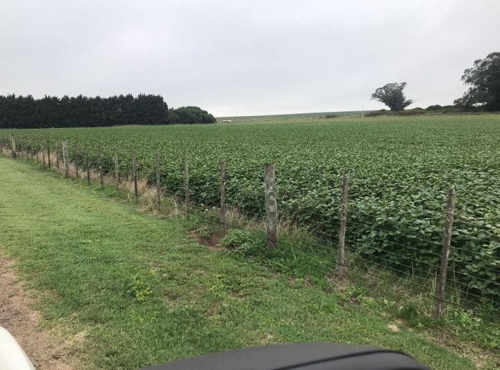 Venta Campo Mixto Santiago del Estero 2700 has límite con Santa Fe