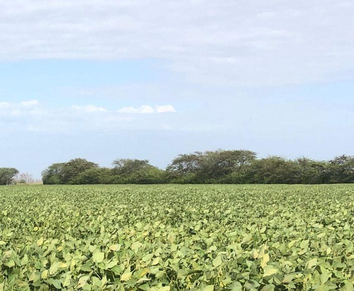 Campo de 7000 ha en venta en Bazán La Rioja Reserva de agua OPORTUNIDAD FINANCIACION, foto 1 de 5