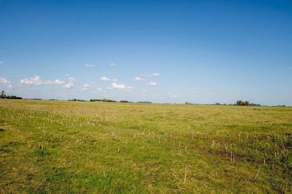 Venta Campo Agrícola en Bandera, Santiago del Estero 1150 has, foto 1 de 6