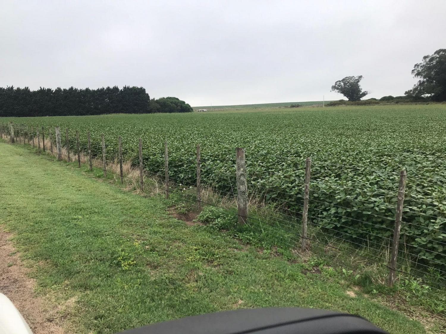 Venta Campo Mixto Santiago del Estero 2700 has límite con Santa Fe, foto 1 de 5