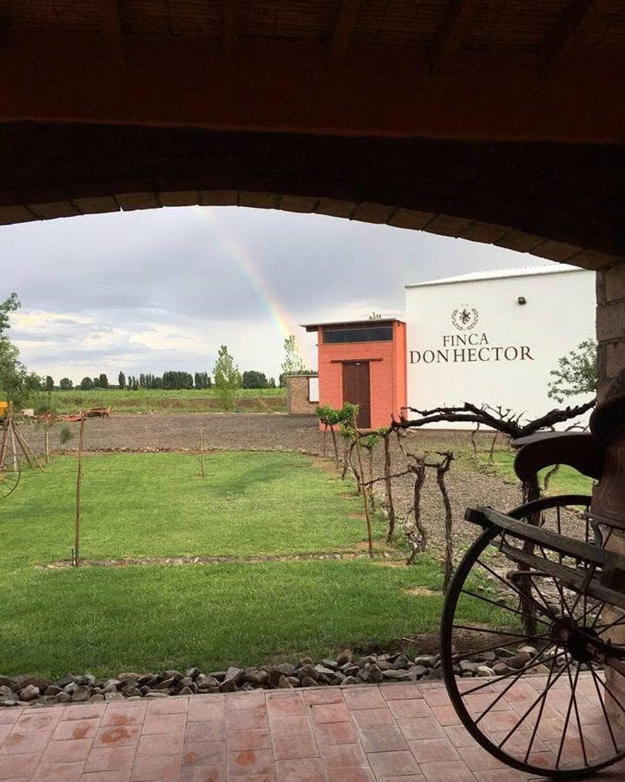 VENTA O ALQUILER DE BODEGA PREMIUM EN MENDOZA 70 HAS, foto 1 de 7